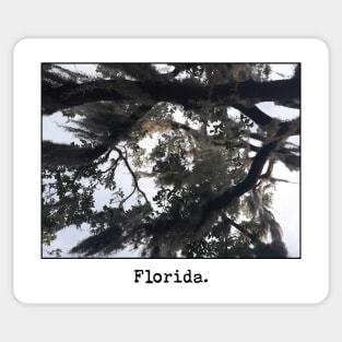 Florida at a Glance Sticker